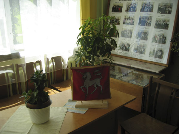 This collage shows various school class photos with the town flag in the foreground.